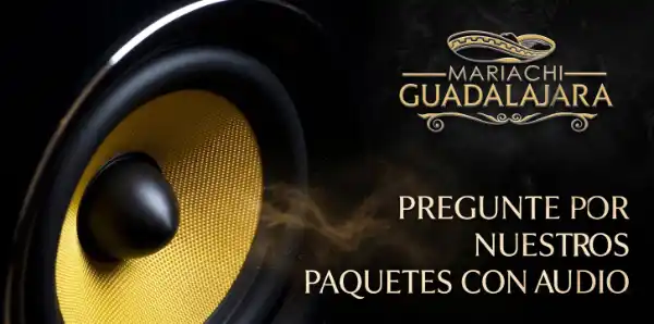 Mariachi en Zumpango con audio precio